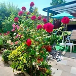 In Mit Garten *