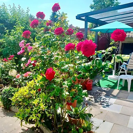 Apartmán In Mit Garten