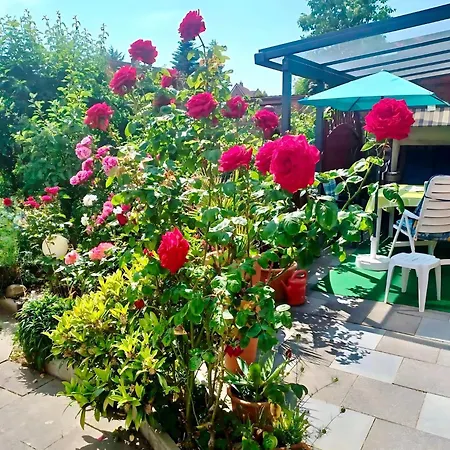 In Mit Garten *